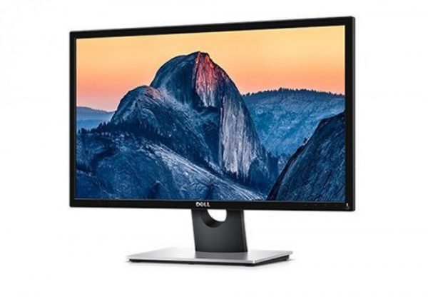 Dell Moniteur 24 pouces (SE2417HGX)