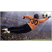 Écran mur d'images LG 49" FHD slim (49VL5G-M.AFPD)