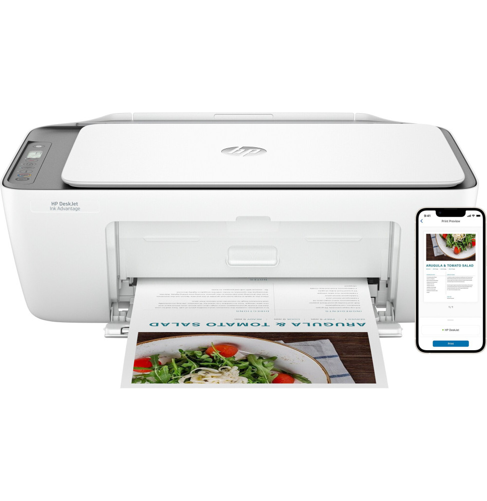 Imprimante multifonction HP DeskJet Ink Advantage 2876 (6W7E6C) - EVO  TRADING
