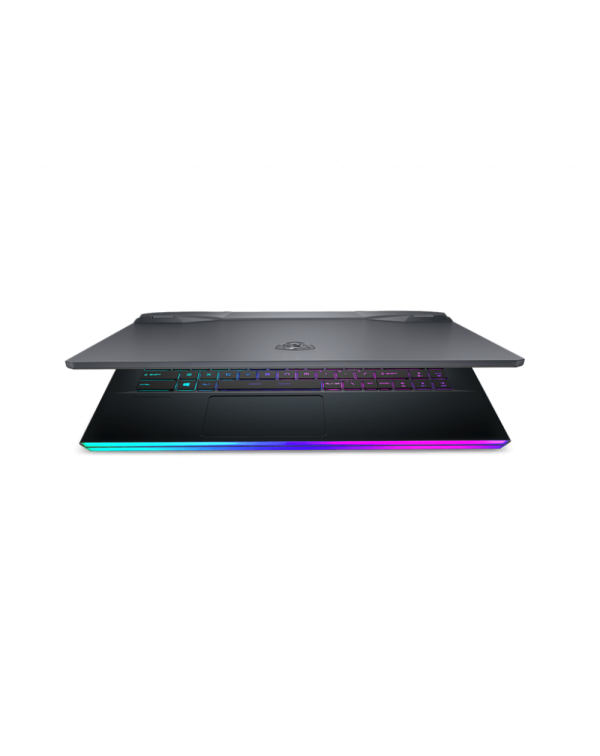 ORDINATEUR PORTABLE Msi Gaming GE66 Raider 10UG (GE66RAIDER10UH-085MA)