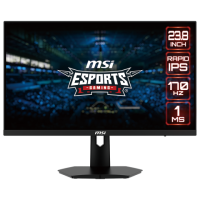 MSI Moniteur OPTIX G244F