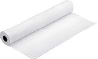 Papier d'épreuvage Epson  Paper Blanc Semimatte 256g 24"
  (C13S042004)