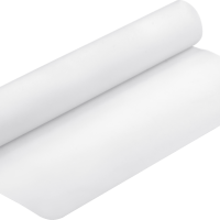 Papier d'épreuvage Epson  Paper Blanc Semimatte 256g 24"
  (C13S042004)