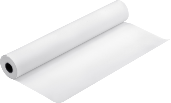 Papier d'épreuvage Epson  Paper Blanc Semimatte 256g 24"
(C13S042004)