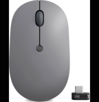 Souris sans fil USB-C Lenovo Go (4Y51C21216)