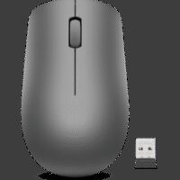 Souris sans fil USB Lenovo 530 - Graphite (GY50Z49089)