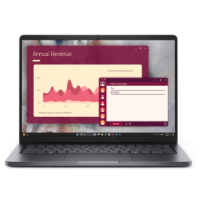 Ordinateur portable Dell Pro 14 (DL-PC14250)