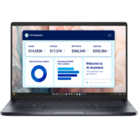 Ordinateur portable Dell Pro 14 Premium PA14250 (DP14PREM-U7-W)