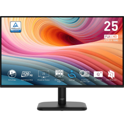 Écran 25" Full HD MSI Pro MP251L E2 (9S6-3PD2CM-033)