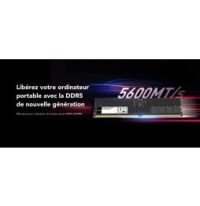Barrette mémoire Lexar U-DIMM 32 Go DDR5 5600 MHz - PC Bureau (LD5U32G56C46ST-BGS)