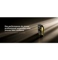 Carte SD Lexar Professional 2000x GOLD SDHC UHS-II 64 Go 300MB/s (LSD2000064G-BNNNG)