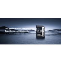 Carte SD Lexar Professional SILVER PLUS SDXC UHS-I 256 Go 205MB/s (LSDSIPL256G-BNNNG)